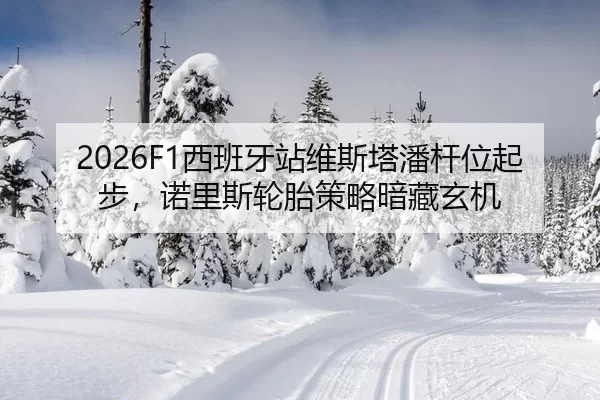 2026F1西班牙站维斯塔潘杆位起步，诺里斯轮胎策略暗藏玄机